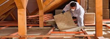 Eco-Friendly or Green Insulation Solutions in Meadow Woods, FL